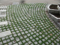 /album/projekte-andreas-pilgram/dscf2184-jpg/